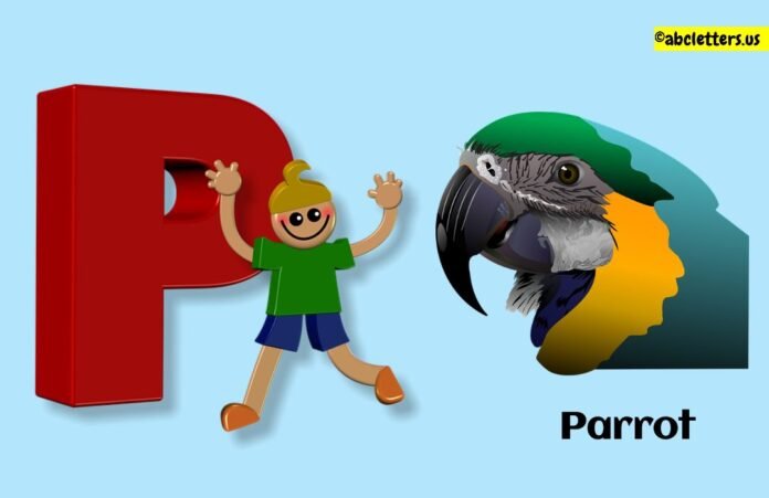 What Is The 16th Letter Of The Alphabet? Know Exact Answer